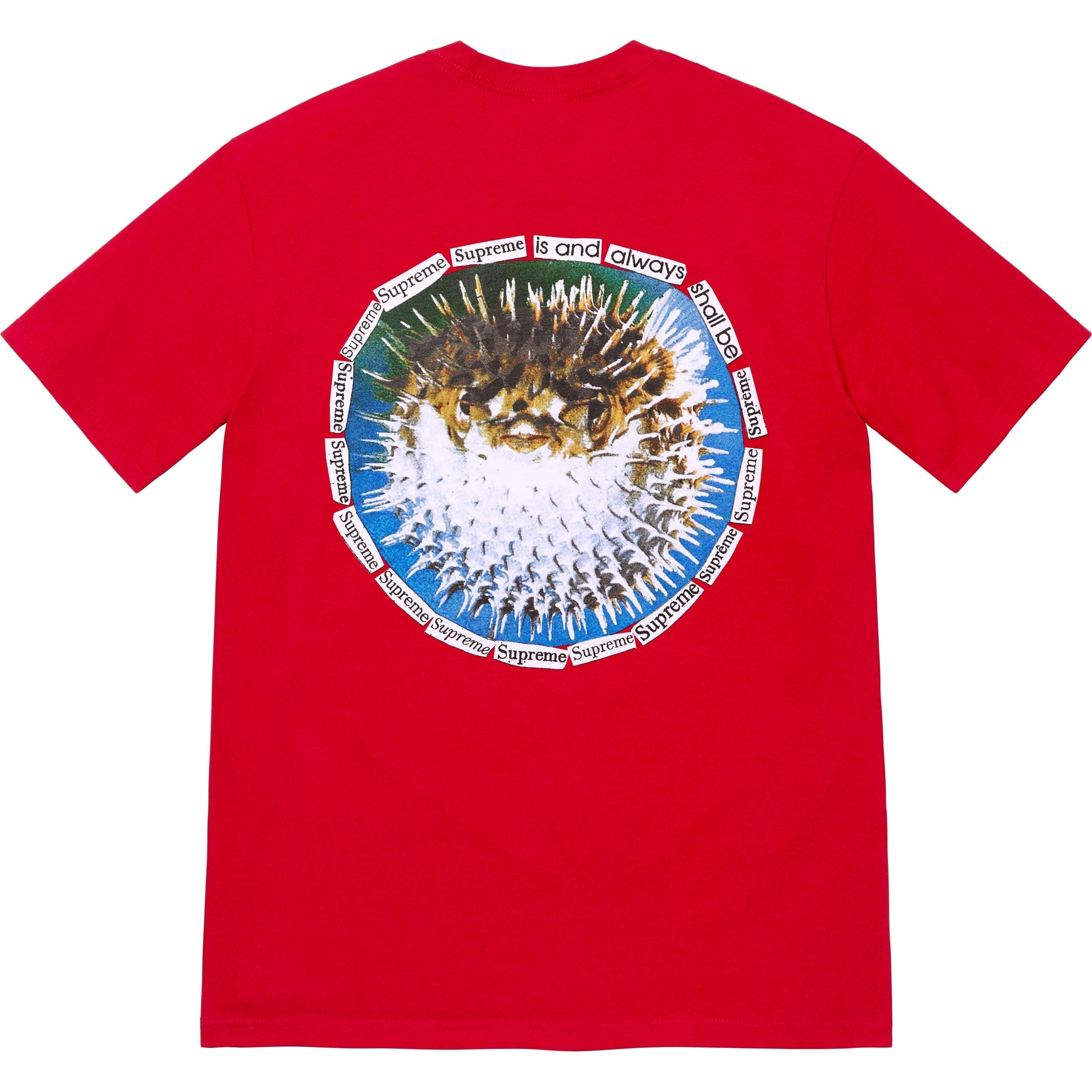 Blowfish Tee view 3